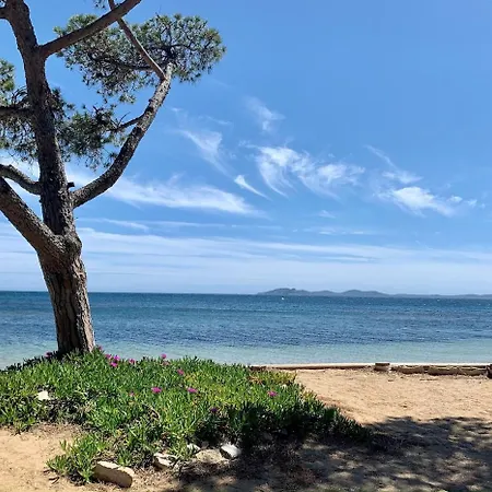 L Eden Croisette Nid Douillet En Bord De Apartment *